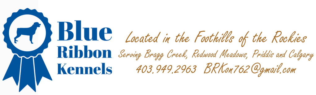 Blue Ribbon Kennels - Boarding and Training - Bragg Creek